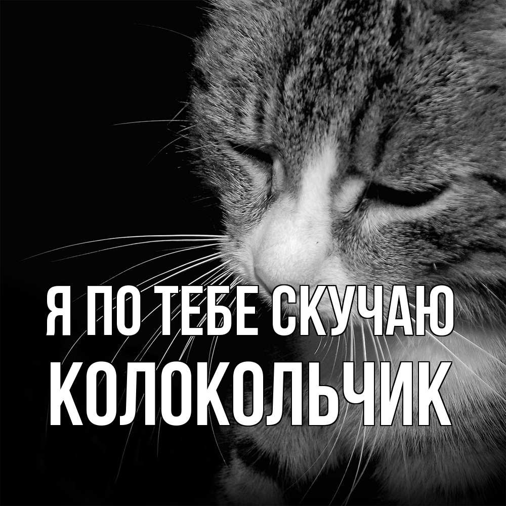 Открытка на каждый день с именем, Колокольчик Я по тебе скучаю мне скучно Прикольная открытка с пожеланием онлайн скачать бесплатно 