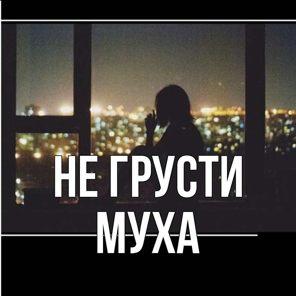 Открытка на каждый день с именем, Муха Не грусти смотрит на ночной город Прикольная открытка с пожеланием онлайн скачать бесплатно 