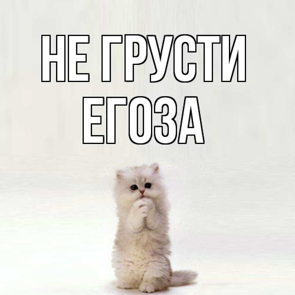 Открытка на каждый день с именем, егоза Не грусти грустный кот Прикольная открытка с пожеланием онлайн скачать бесплатно 