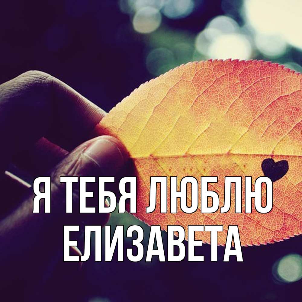 Открытка на каждый день с именем, Елизавета Я тебя люблю держу лист Прикольная открытка с пожеланием онлайн скачать бесплатно 