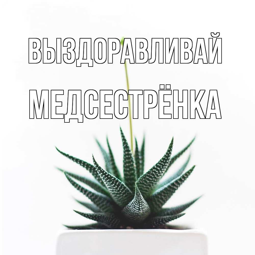 Открытка на каждый день с именем, Медсестрёнка Выздоравливай короче это непонятная колючка Прикольная открытка с пожеланием онлайн скачать бесплатно 