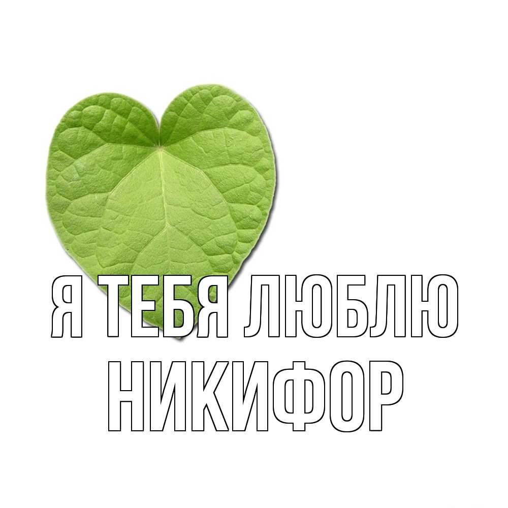 Открытка на каждый день с именем, Никифор Я тебя люблю тебе Прикольная открытка с пожеланием онлайн скачать бесплатно 
