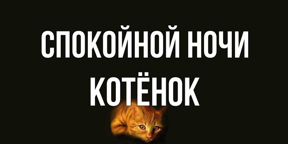 Открытка на каждый день с именем, Котёнок Спокойной ночи кот Прикольная открытка с пожеланием онлайн скачать бесплатно 