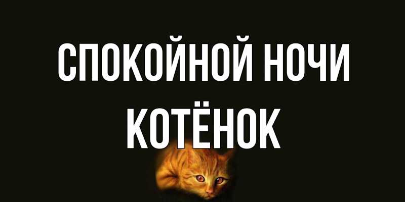 Картинка Спокойной ночи, Котёнок