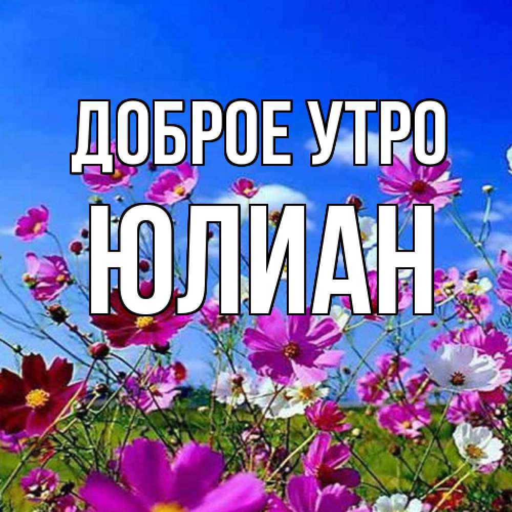 Открытка на каждый день с именем, Юлиан Доброе утро сиреневые цветы Прикольная открытка с пожеланием онлайн скачать бесплатно 