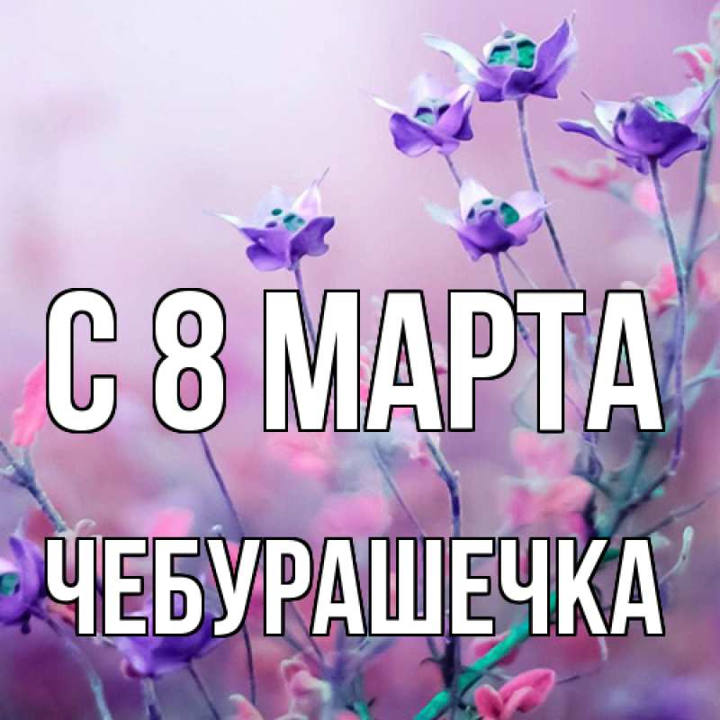 Картинка C 8 МАРТА, Чебурашечка