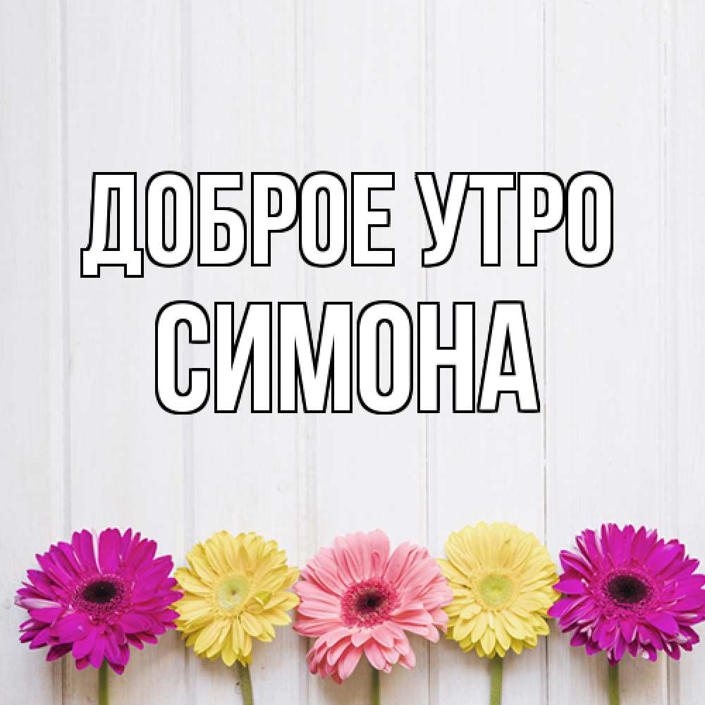 Открытка на каждый день с именем, Симона Доброе утро красный желтый и розовый цветок Прикольная открытка с пожеланием онлайн скачать бесплатно 