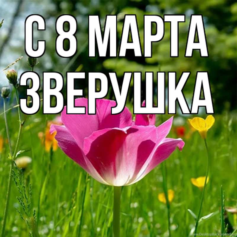 Картинка C 8 МАРТА, Зверушка