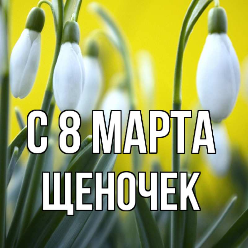 Картинка C 8 МАРТА, Щеночек