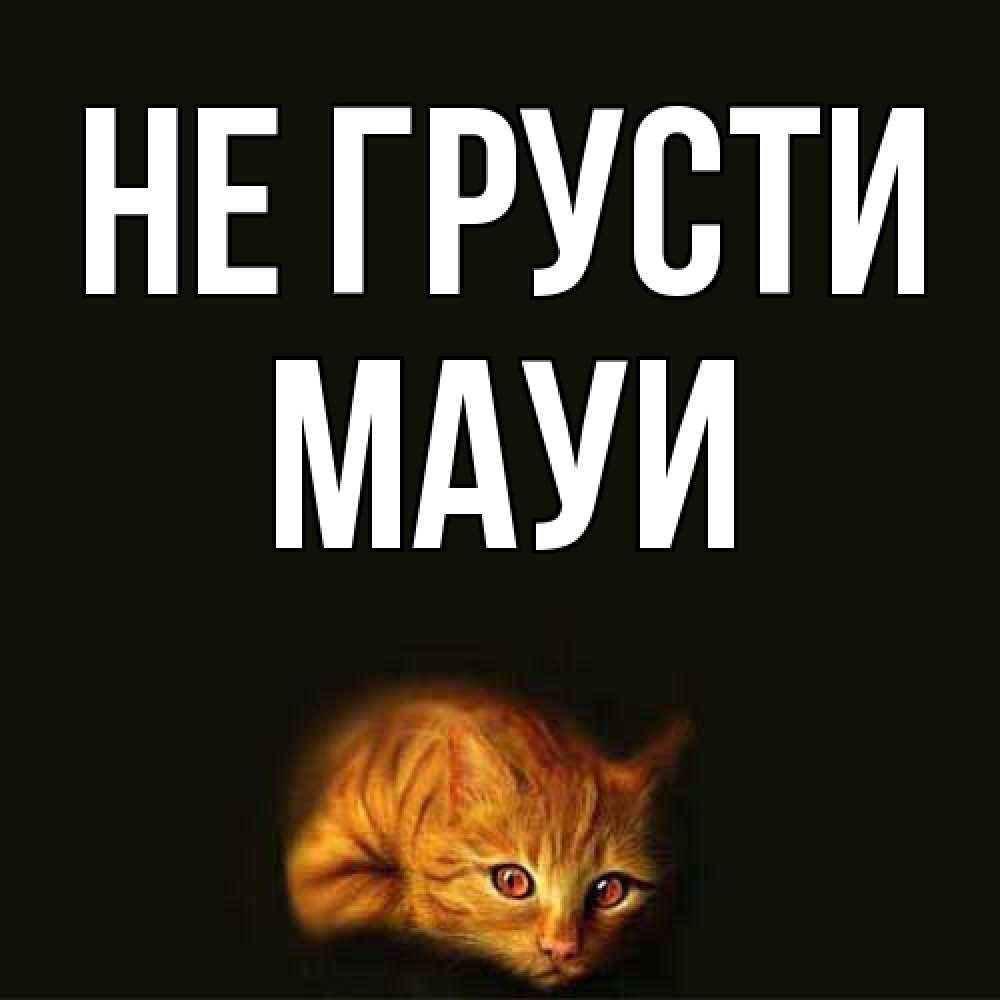 Открытка на каждый день с именем, Мауи Не грусти лежащий кот в темноте Прикольная открытка с пожеланием онлайн скачать бесплатно 
