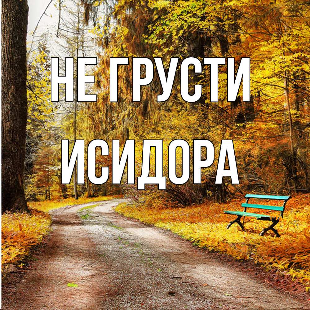 Открытка на каждый день с именем, Исидора Не грусти зеленая лавочка Прикольная открытка с пожеланием онлайн скачать бесплатно 