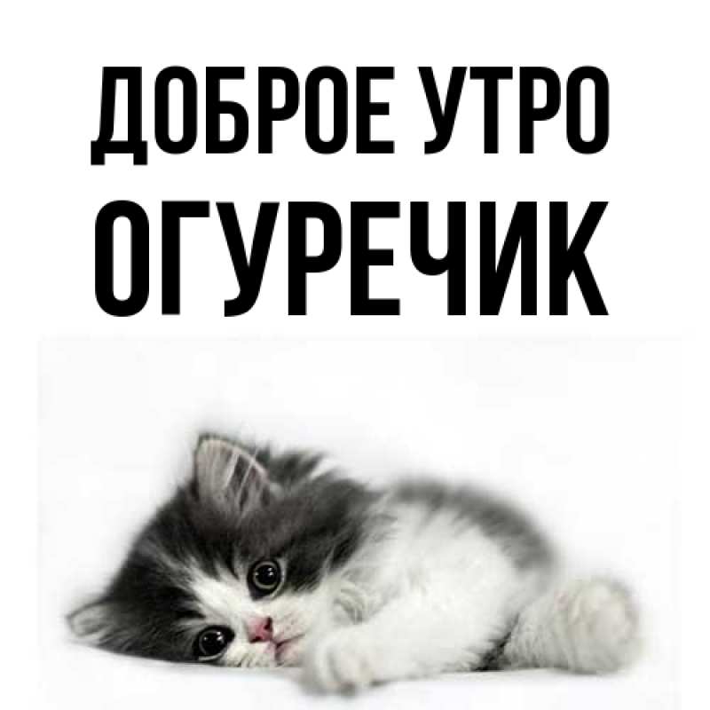 Картинка Доброе утро, Огуречик