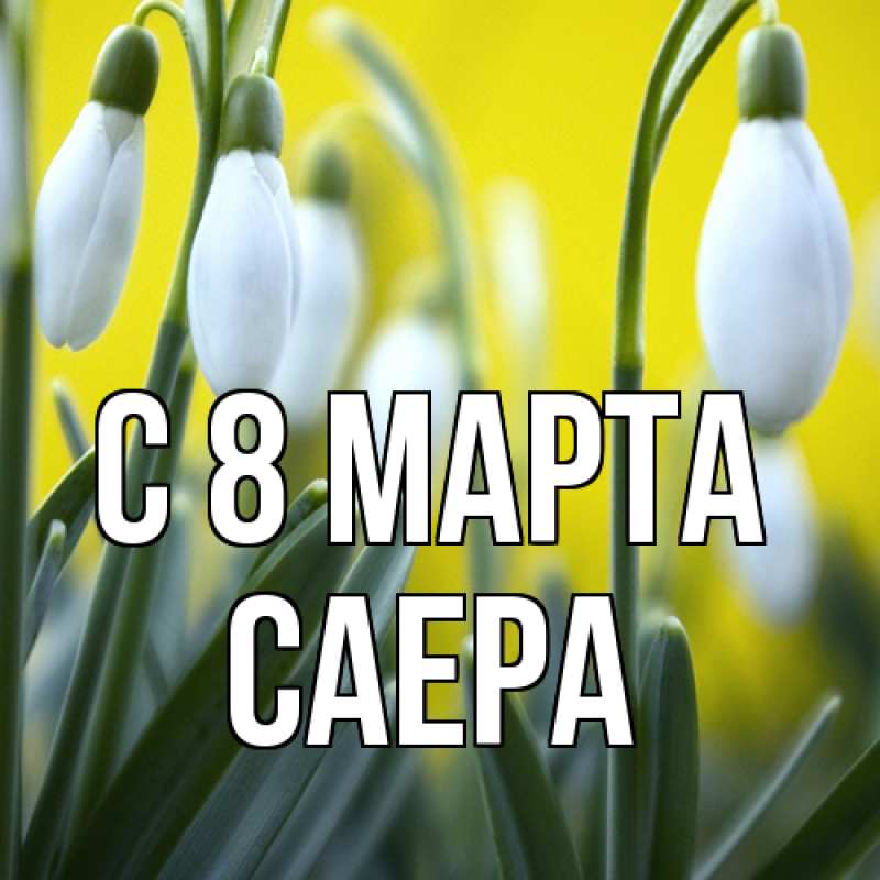 Картинка C 8 МАРТА, Саера