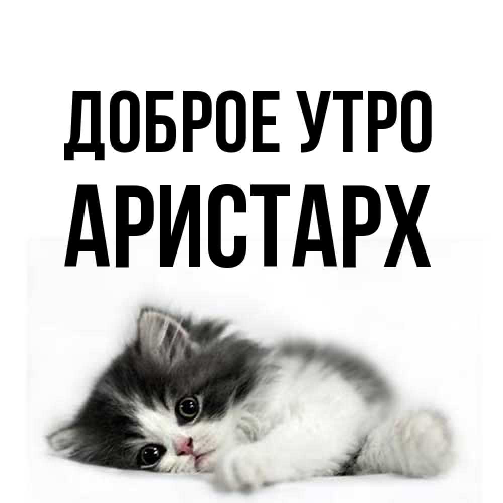 Открытка на каждый день с именем, Аристарх Доброе утро кот лапки Прикольная открытка с пожеланием онлайн скачать бесплатно 