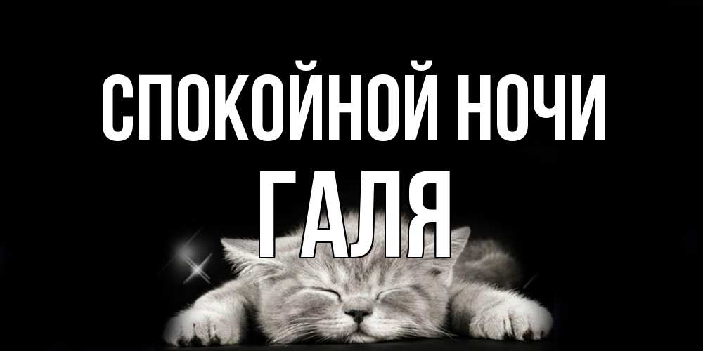Открытка на каждый день с именем, Галя Спокойной ночи спящий котик Прикольная открытка с пожеланием онлайн скачать бесплатно 