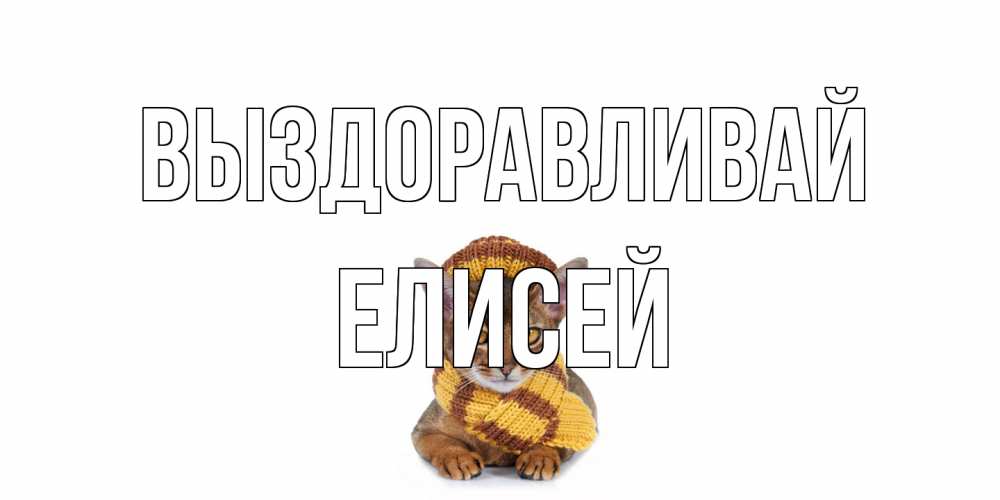 Открытка на каждый день с именем, Елисей Выздоравливай родные не болейте Прикольная открытка с пожеланием онлайн скачать бесплатно 