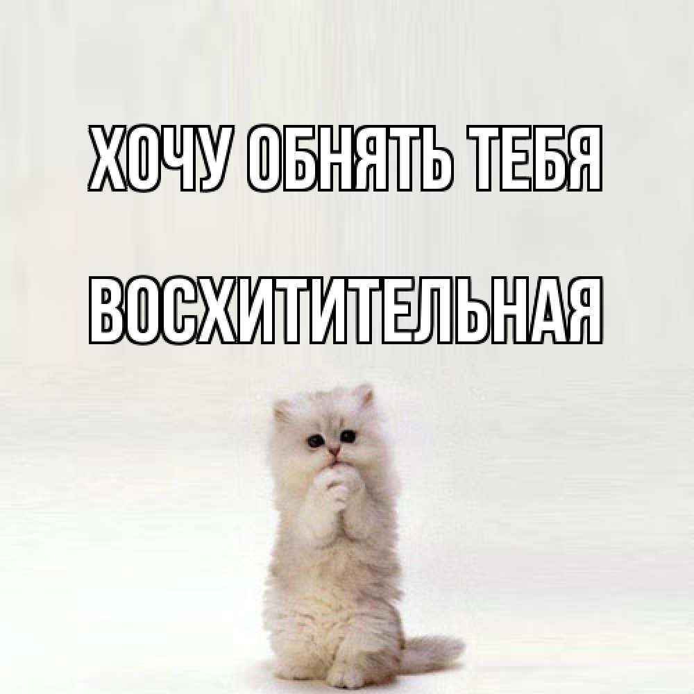 Открытка на каждый день с именем, восхитительная Хочу обнять тебя открытки с креативными подписями Прикольная открытка с пожеланием онлайн скачать бесплатно 