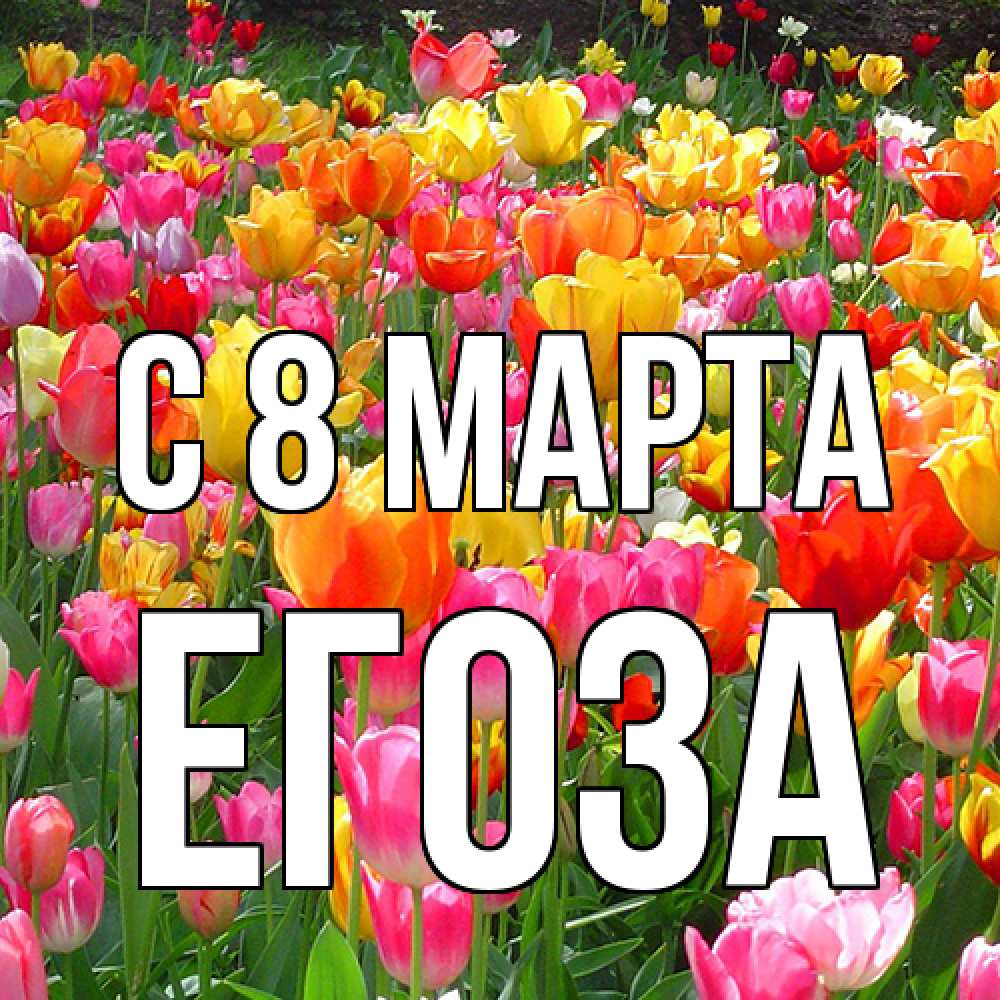 Открытка на каждый день с именем, егоза C 8 МАРТА на международный женский день Прикольная открытка с пожеланием онлайн скачать бесплатно 