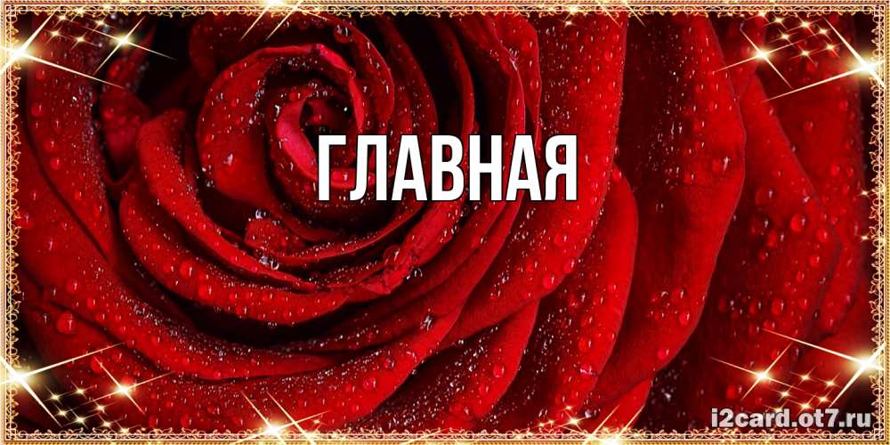 Открытка на каждый день с именем, настя Главная роса на розе блестящая в лучах солнца Прикольная открытка с пожеланием онлайн скачать бесплатно 