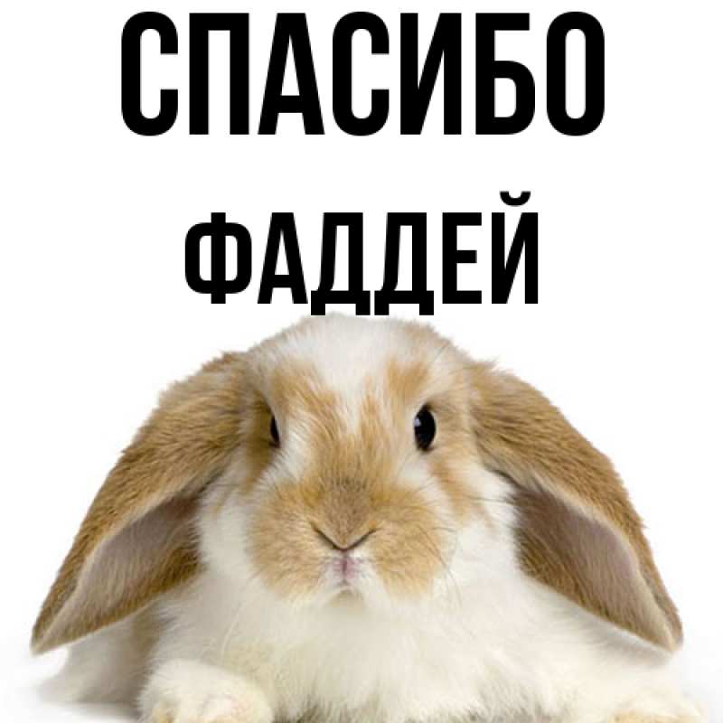 Картинка Спасибо, Фаддей