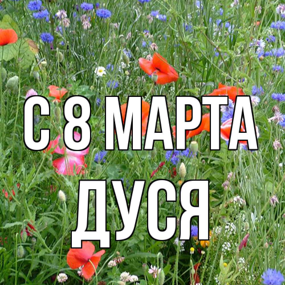 Открытка на каждый день с именем, Дуся C 8 МАРТА международный женский день 4 Прикольная открытка с пожеланием онлайн скачать бесплатно 