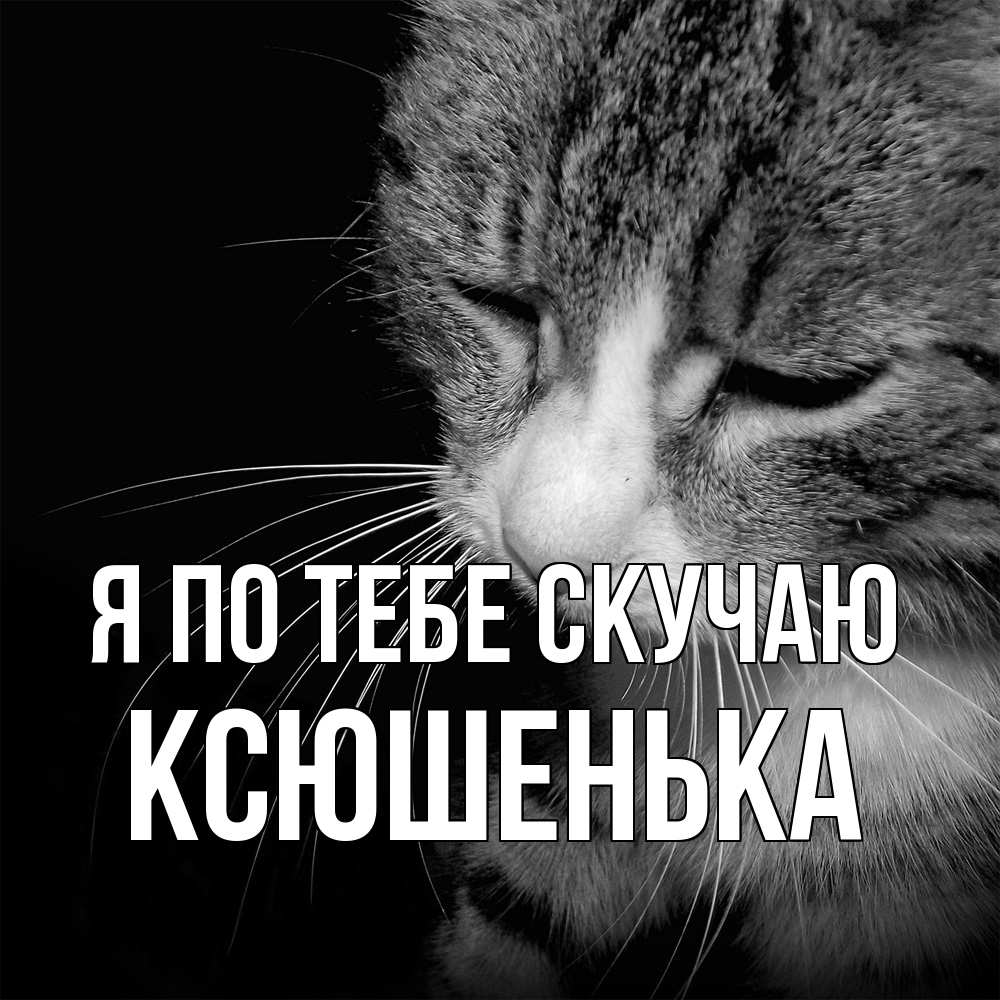 Открытка на каждый день с именем, Ксюшенька Я по тебе скучаю мне скучно Прикольная открытка с пожеланием онлайн скачать бесплатно 