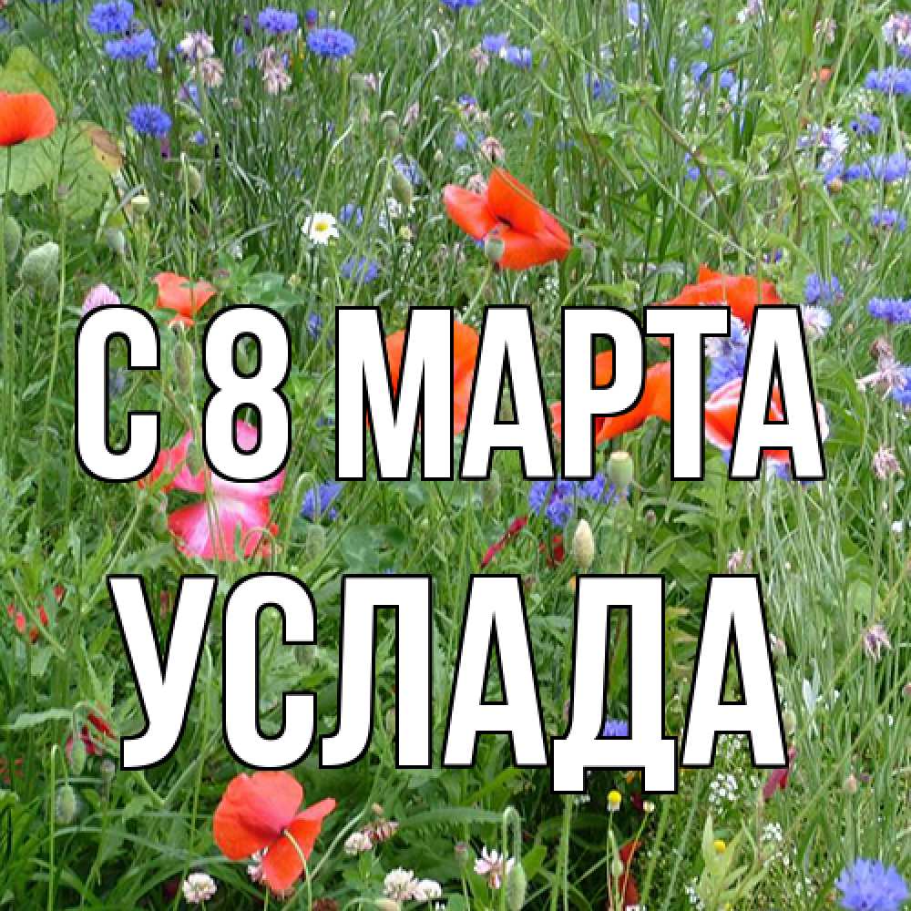 Открытка на каждый день с именем, услада C 8 МАРТА международный женский день 4 Прикольная открытка с пожеланием онлайн скачать бесплатно 