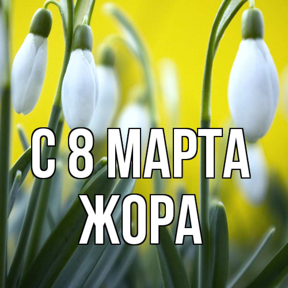 Открытка на каждый день с именем, Жора C 8 МАРТА весенние цветы Прикольная открытка с пожеланием онлайн скачать бесплатно 