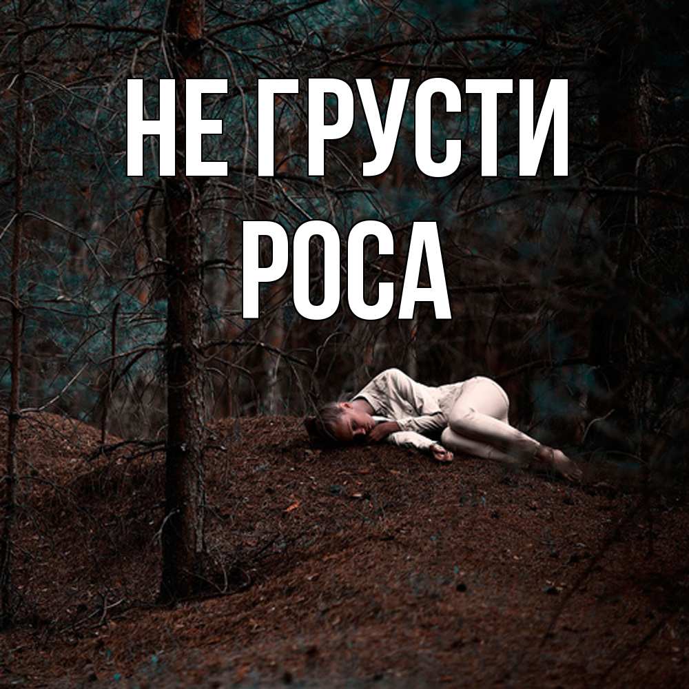 Открытка на каждый день с именем, Роса Не грусти лес Прикольная открытка с пожеланием онлайн скачать бесплатно 