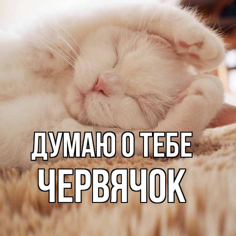 Открытка на каждый день с именем, Червячок Думаю о тебе для любимой девушки милота Прикольная открытка с пожеланием онлайн скачать бесплатно 