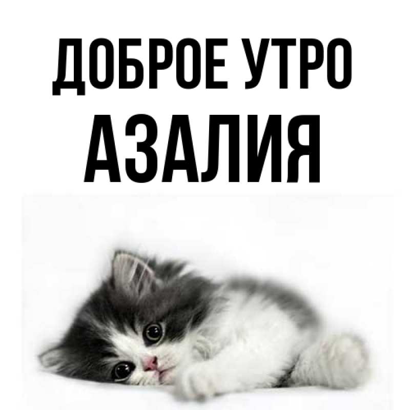 Картинка Доброе утро, Азалия