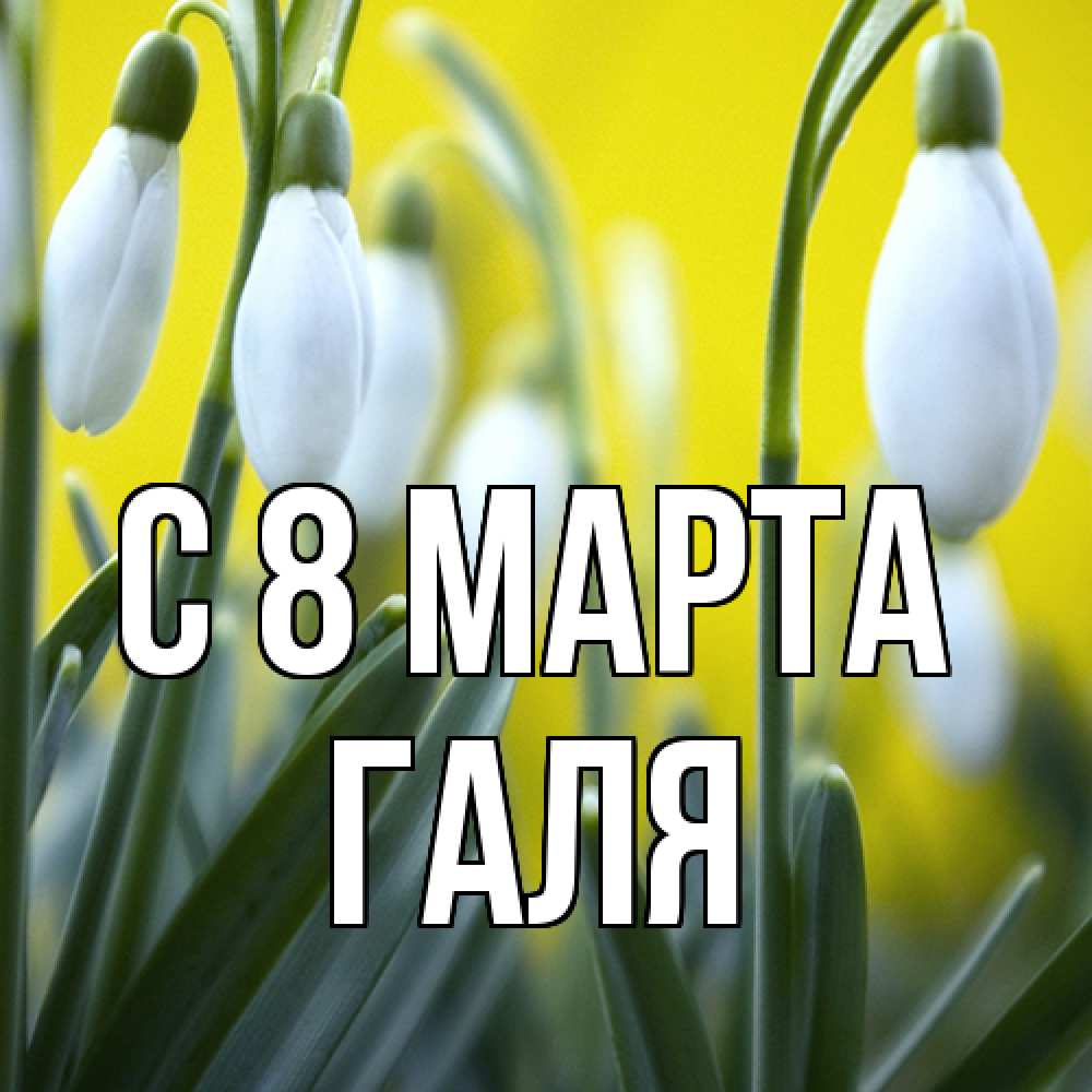 Открытка на каждый день с именем, Галя C 8 МАРТА весенние цветы Прикольная открытка с пожеланием онлайн скачать бесплатно 