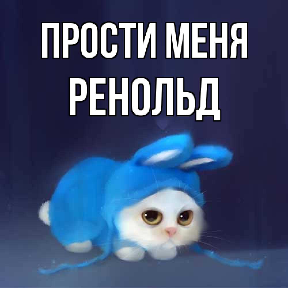 Открытка на каждый день с именем, Ренольд Прости меня невинный котозай просит прощения Прикольная открытка с пожеланием онлайн скачать бесплатно 