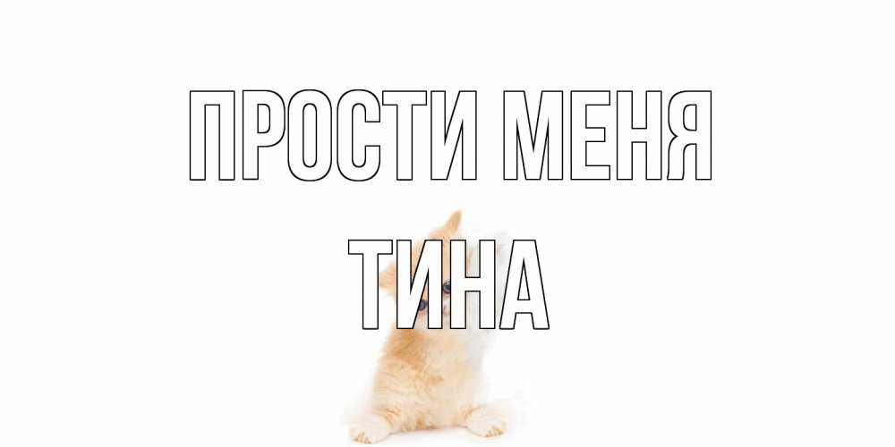 Открытка на каждый день с именем, Тина Прости меня кот Прикольная открытка с пожеланием онлайн скачать бесплатно 