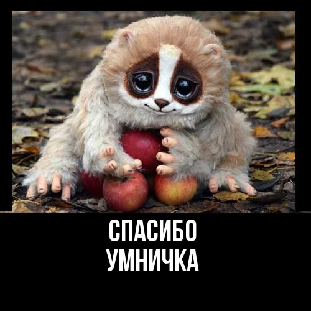 Открытка на каждый день с именем, Умничка Спасибо прикольное животное Прикольная открытка с пожеланием онлайн скачать бесплатно 