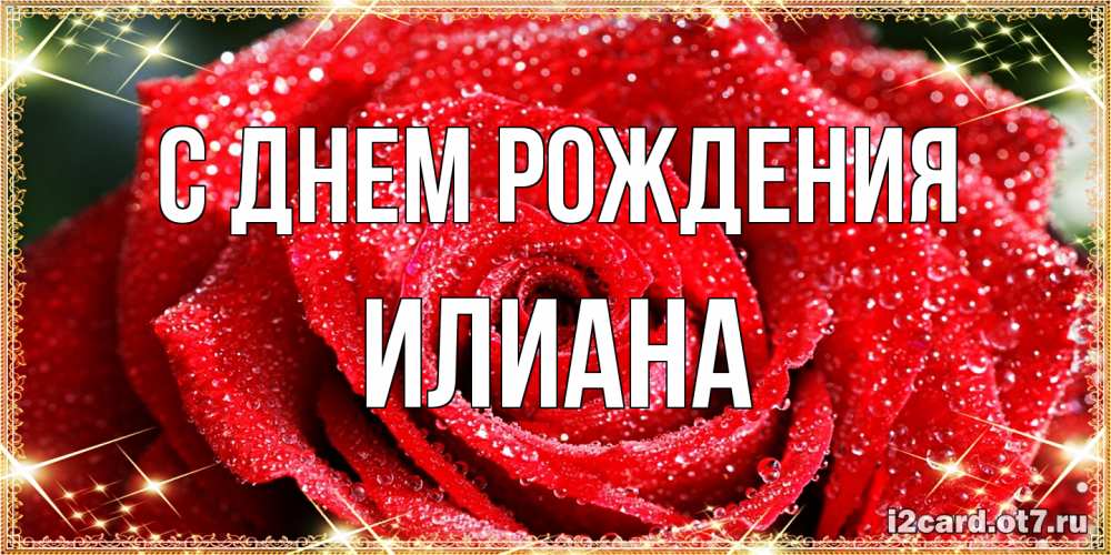 Открытка на каждый день с именем, Илиана С днем рождения роса и роза. открытка с красивой розой Прикольная открытка с пожеланием онлайн скачать бесплатно 