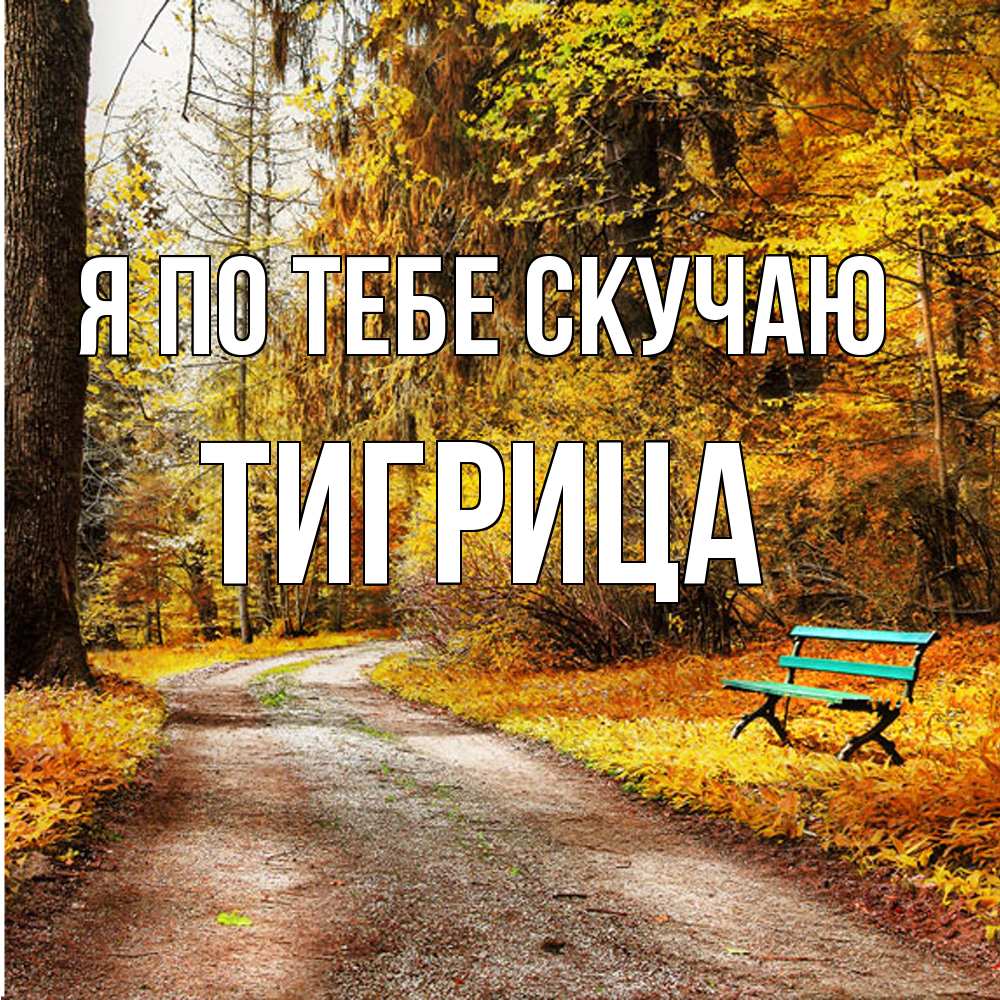 Открытка на каждый день с именем, Тигрица Я по тебе скучаю зеленая лавочка и осенний лес Прикольная открытка с пожеланием онлайн скачать бесплатно 