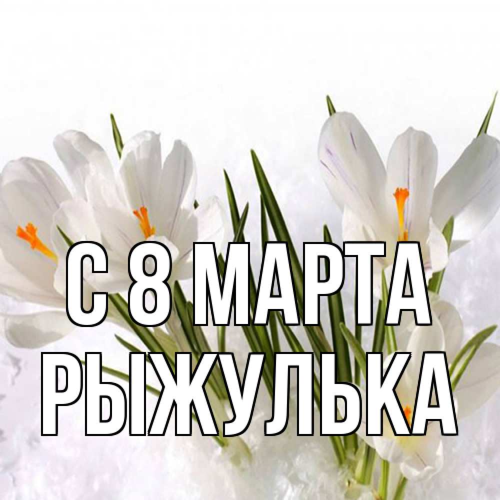 Открытка на каждый день с именем, рыжулька C 8 МАРТА под снегом Прикольная открытка с пожеланием онлайн скачать бесплатно 