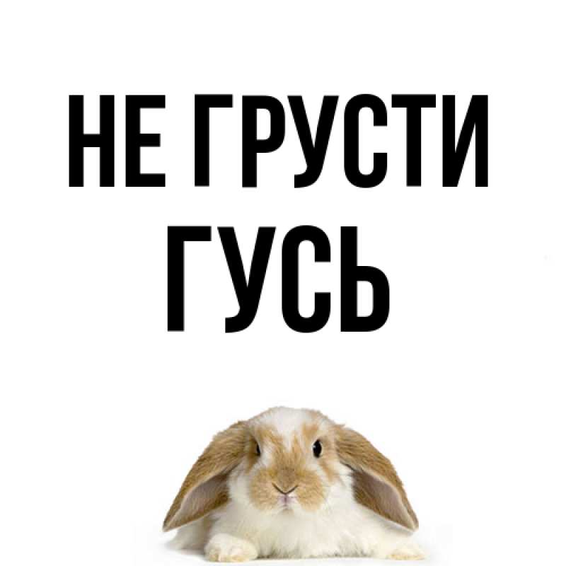 Открытка с именем, Гусь, Не грусти