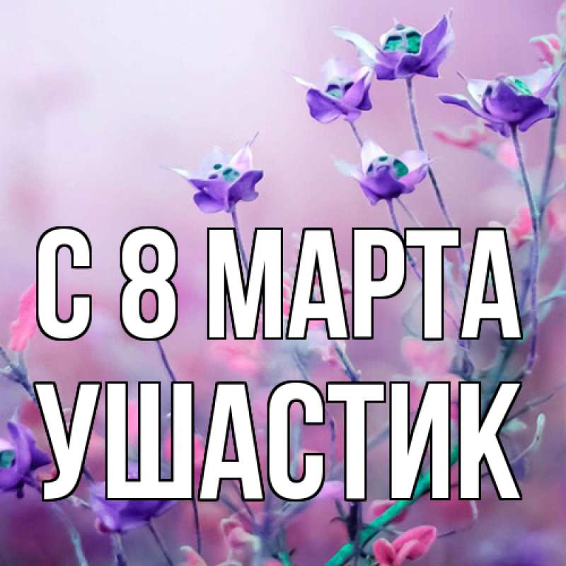 Картинка C 8 МАРТА, Ушастик