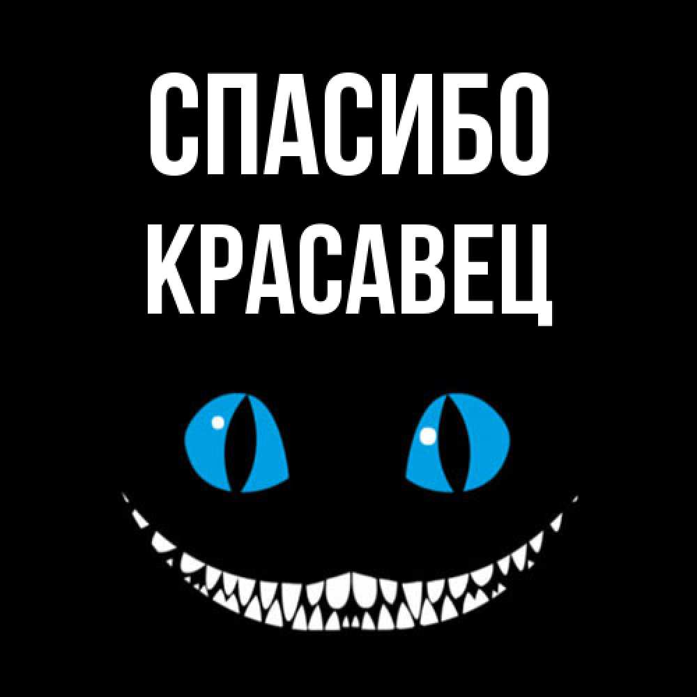 Открытка на каждый день с именем, Красавец Спасибо благодарю от чеширика Прикольная открытка с пожеланием онлайн скачать бесплатно 