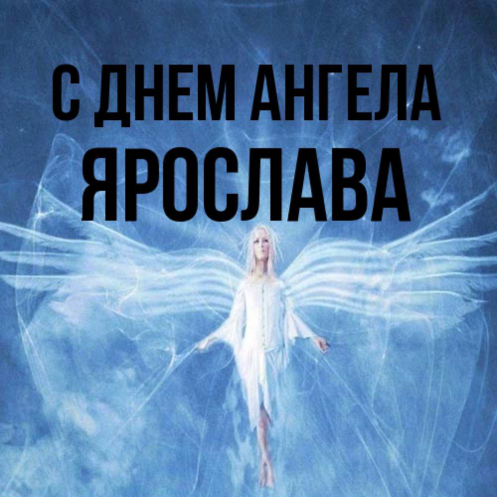 Открытка на каждый день с именем, Ярослава С днем ангела голубой фон и крылья как у стрекозы Прикольная открытка с пожеланием онлайн скачать бесплатно 