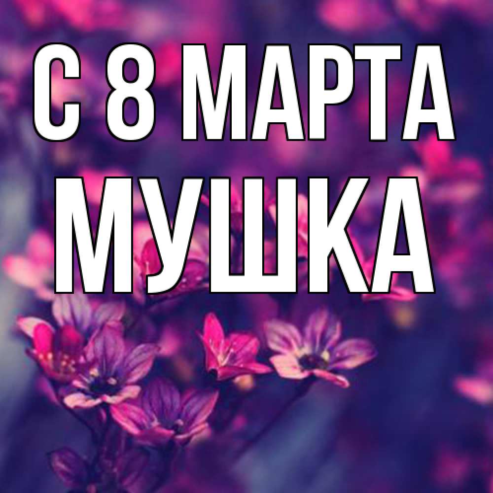 Открытка на каждый день с именем, мушка C 8 МАРТА небольшие цветы 1 Прикольная открытка с пожеланием онлайн скачать бесплатно 