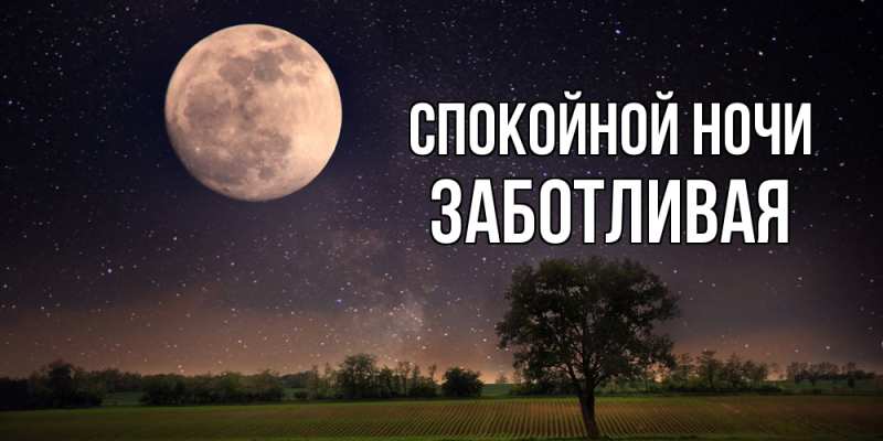 Картинка Спокойной ночи, Заботливая