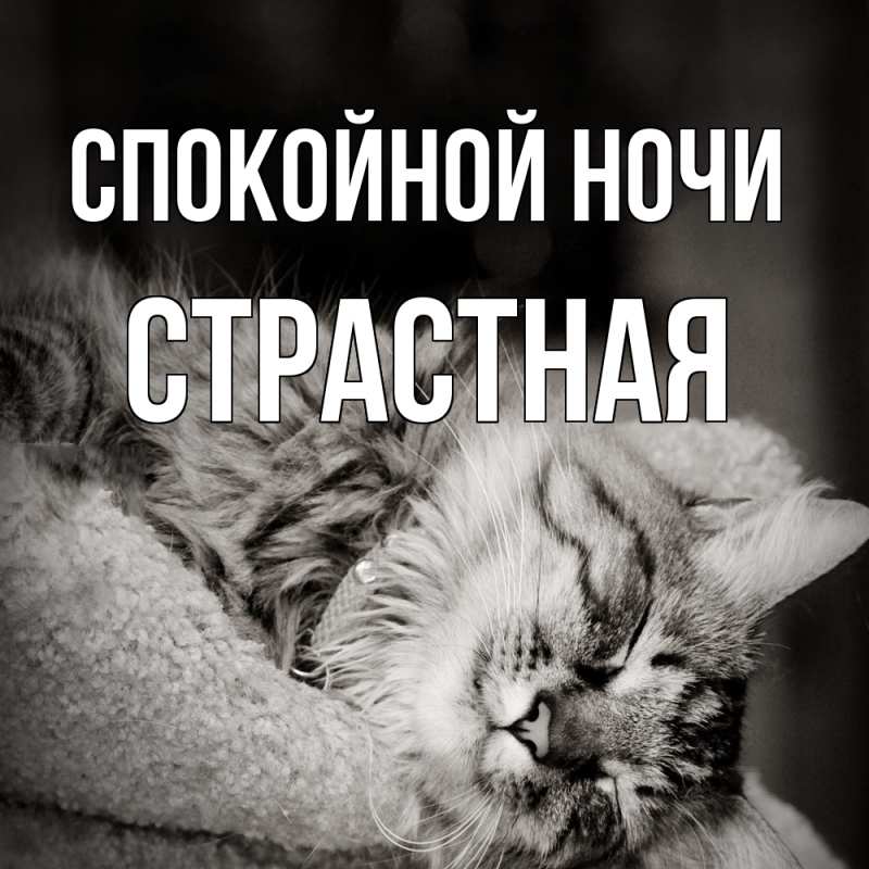 Картинка Спокойной ночи, Стpастная