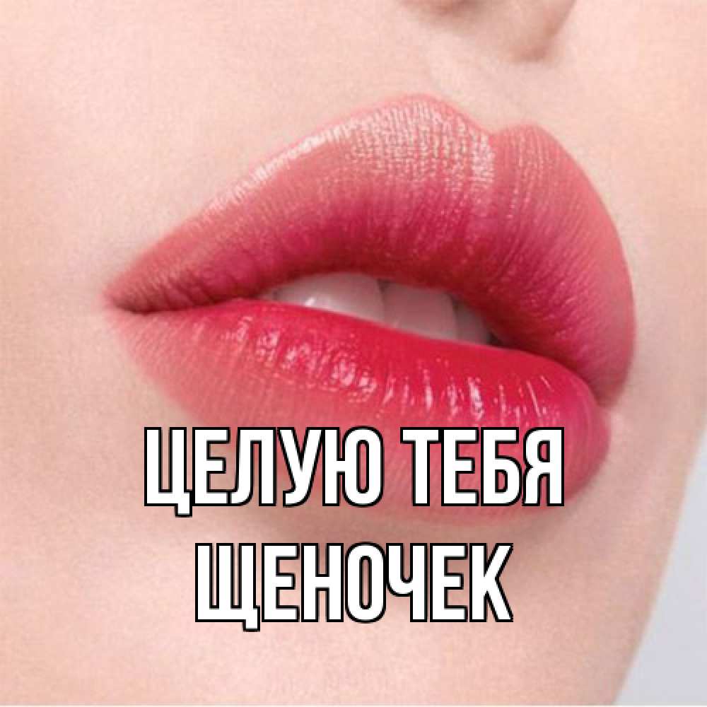 Открытка на каждый день с именем, Щеночек Целую тебя губы зубки и нежная кожа Прикольная открытка с пожеланием онлайн скачать бесплатно 