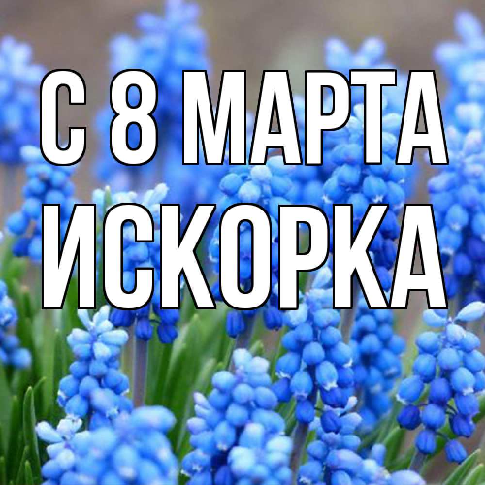 Открытка на каждый день с именем, искорка C 8 МАРТА Поздравительная открытка для женщин с цветами на праздничную дату Прикольная открытка с пожеланием онлайн скачать бесплатно 