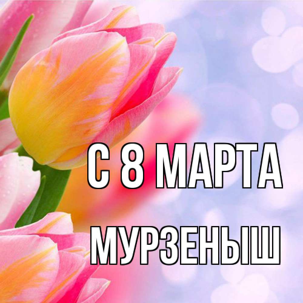 Открытка на каждый день с именем, мурзеныш C 8 МАРТА тюльпаны 2 Прикольная открытка с пожеланием онлайн скачать бесплатно 