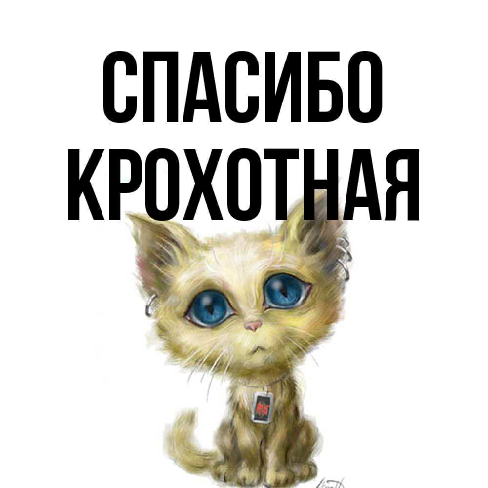Открытка на каждый день с именем, Крохотная Спасибо рисованный кот благодарит вас Прикольная открытка с пожеланием онлайн скачать бесплатно 