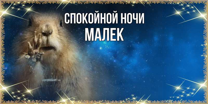 Картинка Спокойной ночи, Малек